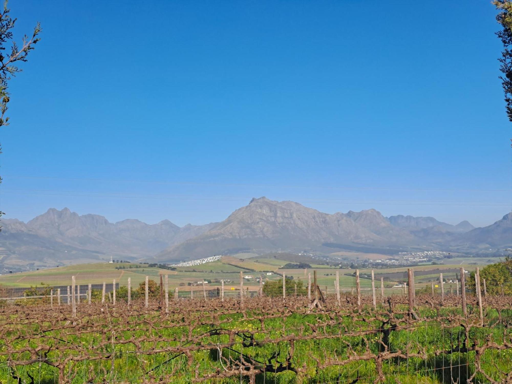 Domaine Coutelier Apartment Stellenbosch Room photo
